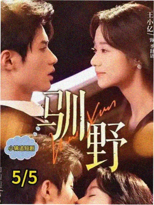 春天影院都市剧集十二楼的春天海报